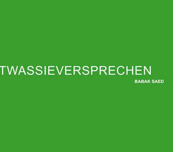 Babak Saed_ENTSCHULDIGENSIE